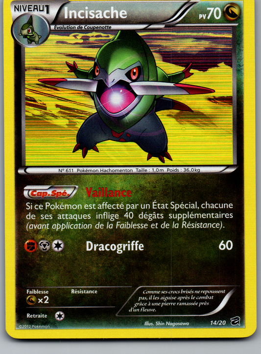 Incisache (14/20) Holo Rare (Near Mint)