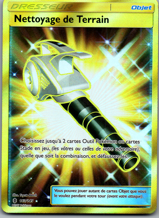 Nettoyage de Terrain (163/145) Secrète Rare Gold Holo (Excellent)