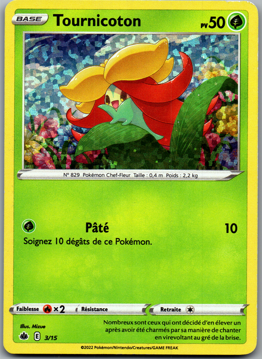 Tournicoton (3/15) Promo Holo McDonald’s (Light Played)