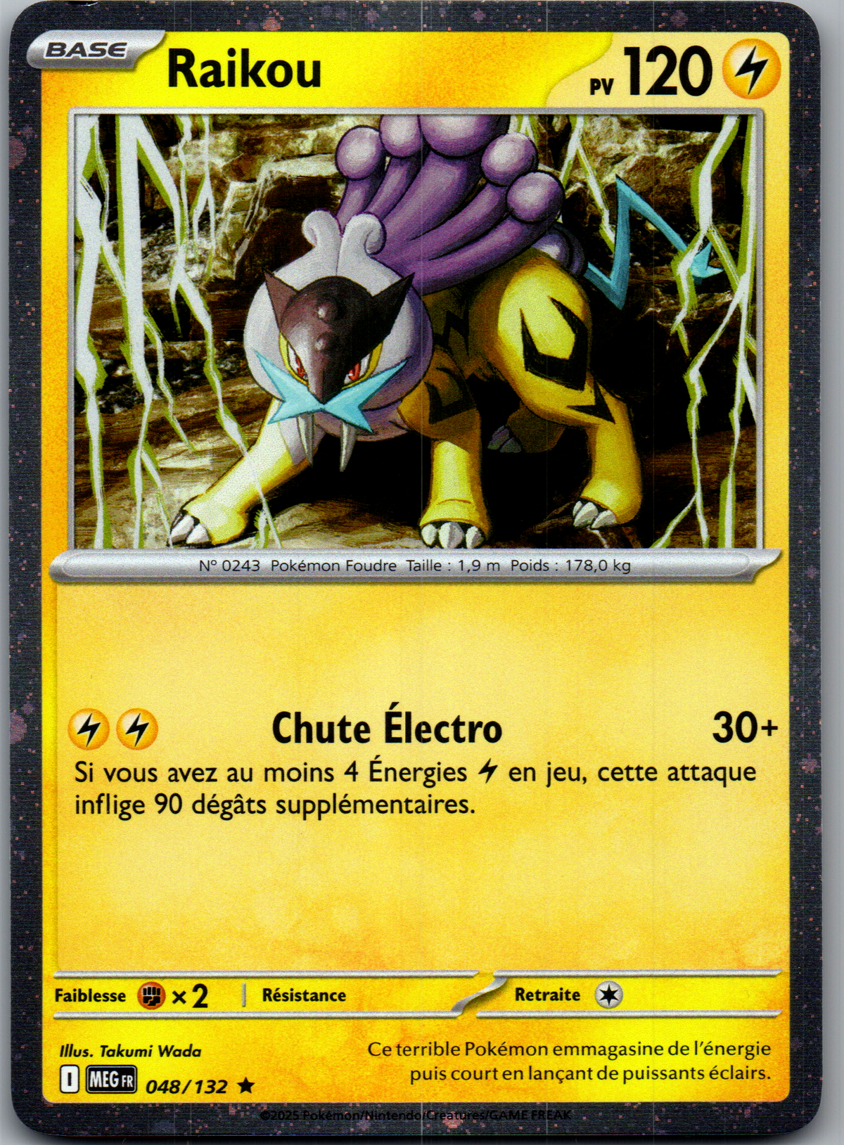 Raikou (048/132) Rare Holo Méga-Évolution (Near Mint)
