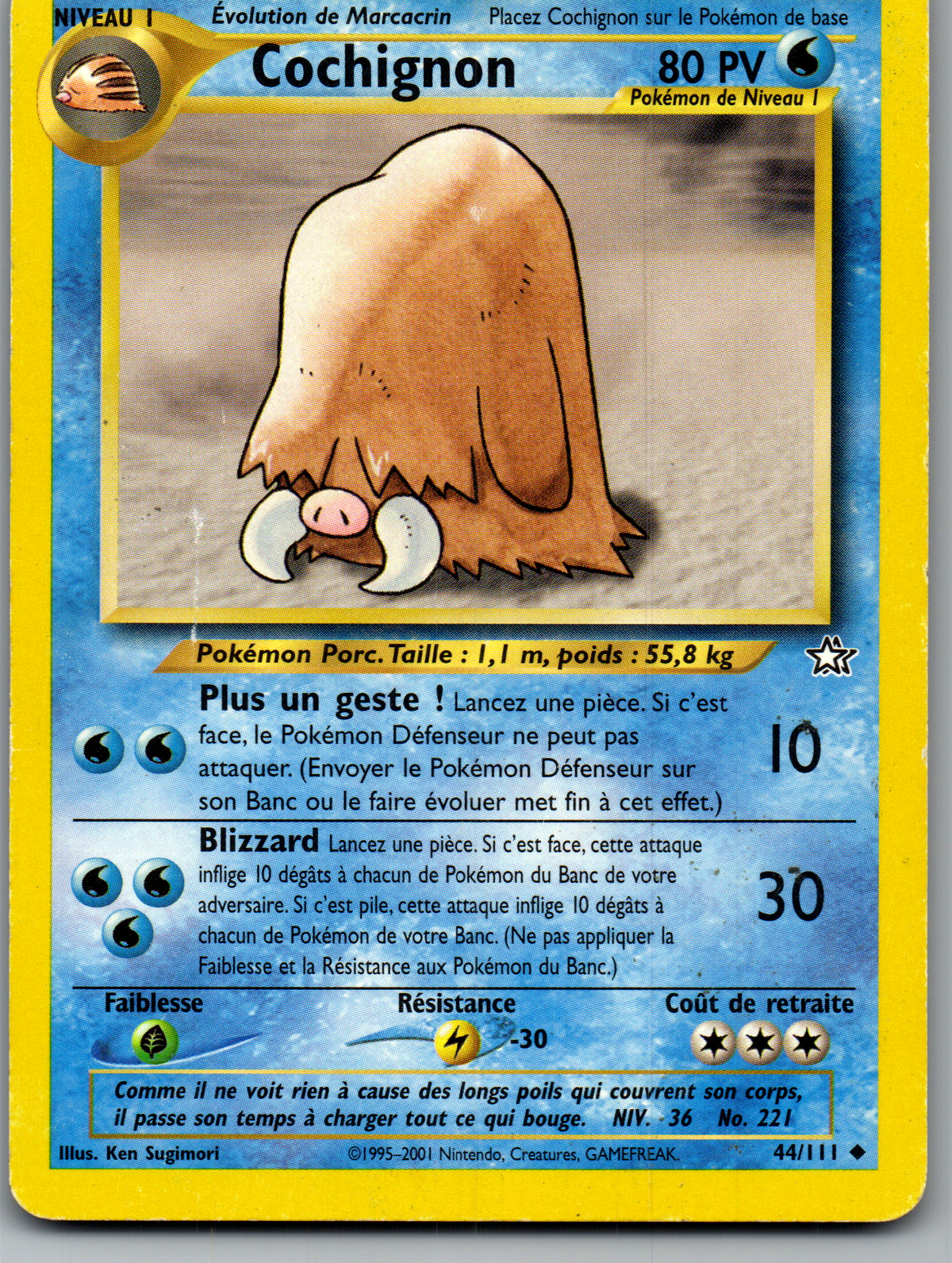 Cochignon (Piloswine) (44/111) Peu Commune Non-Holo (Very Good)