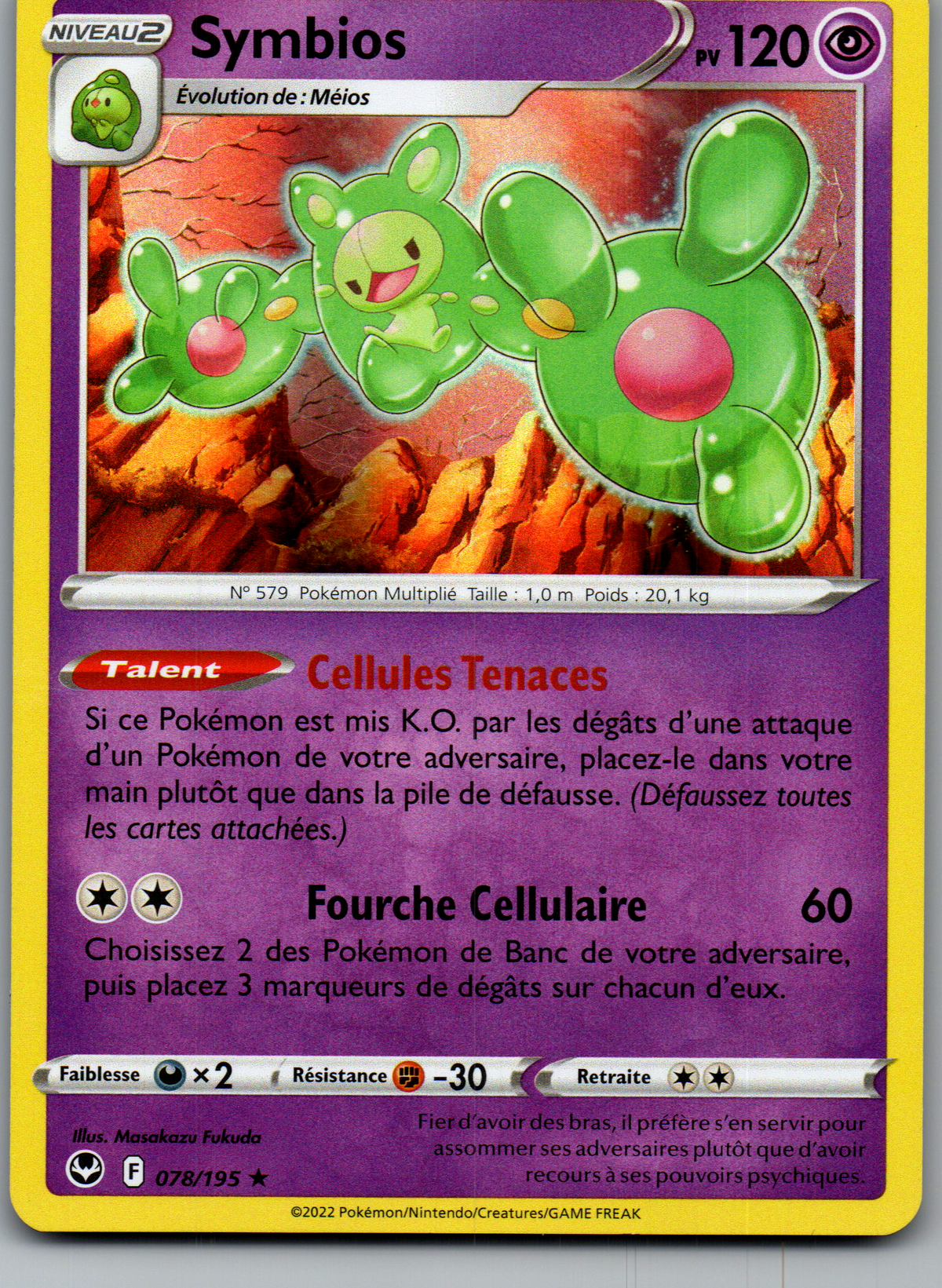 Symbios (078/195) Rare Non-Holo Tempête Argentée (Near Mint)
