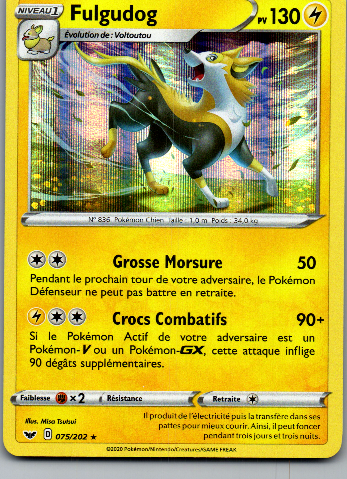 Fulgudog (075/202) Holo Épée et Bouclier (Near Mint)