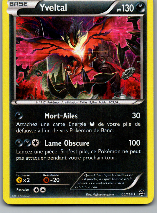 Yveltal 65/114 Rare Holo – Offensives Vapeur – FR – Excellent