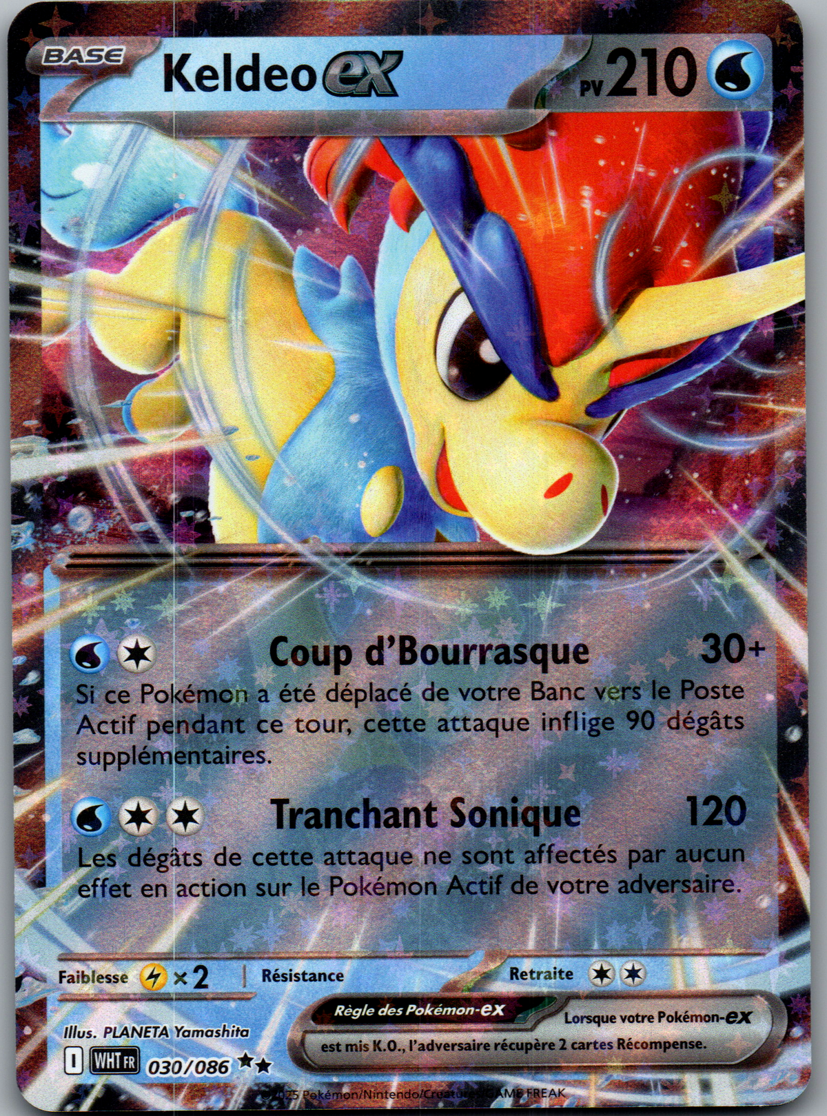 Keldeo ex 030/086 Double Rare Holo Flamme Blanche FR Near Mint